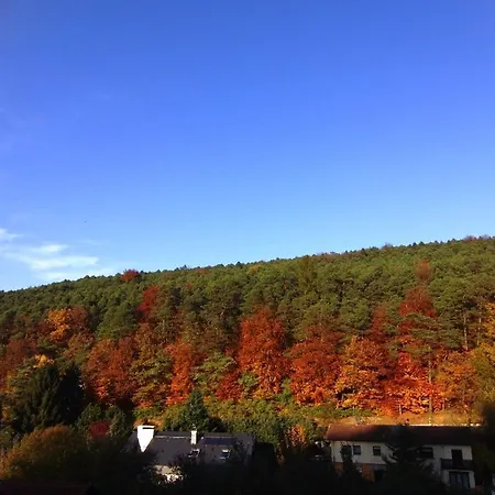 Waldblick Affittacamere