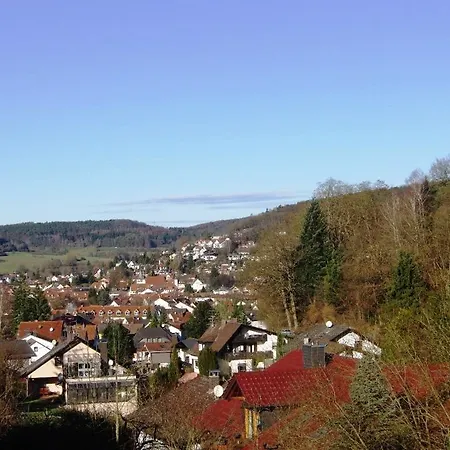 Waldblick Affittacamere *